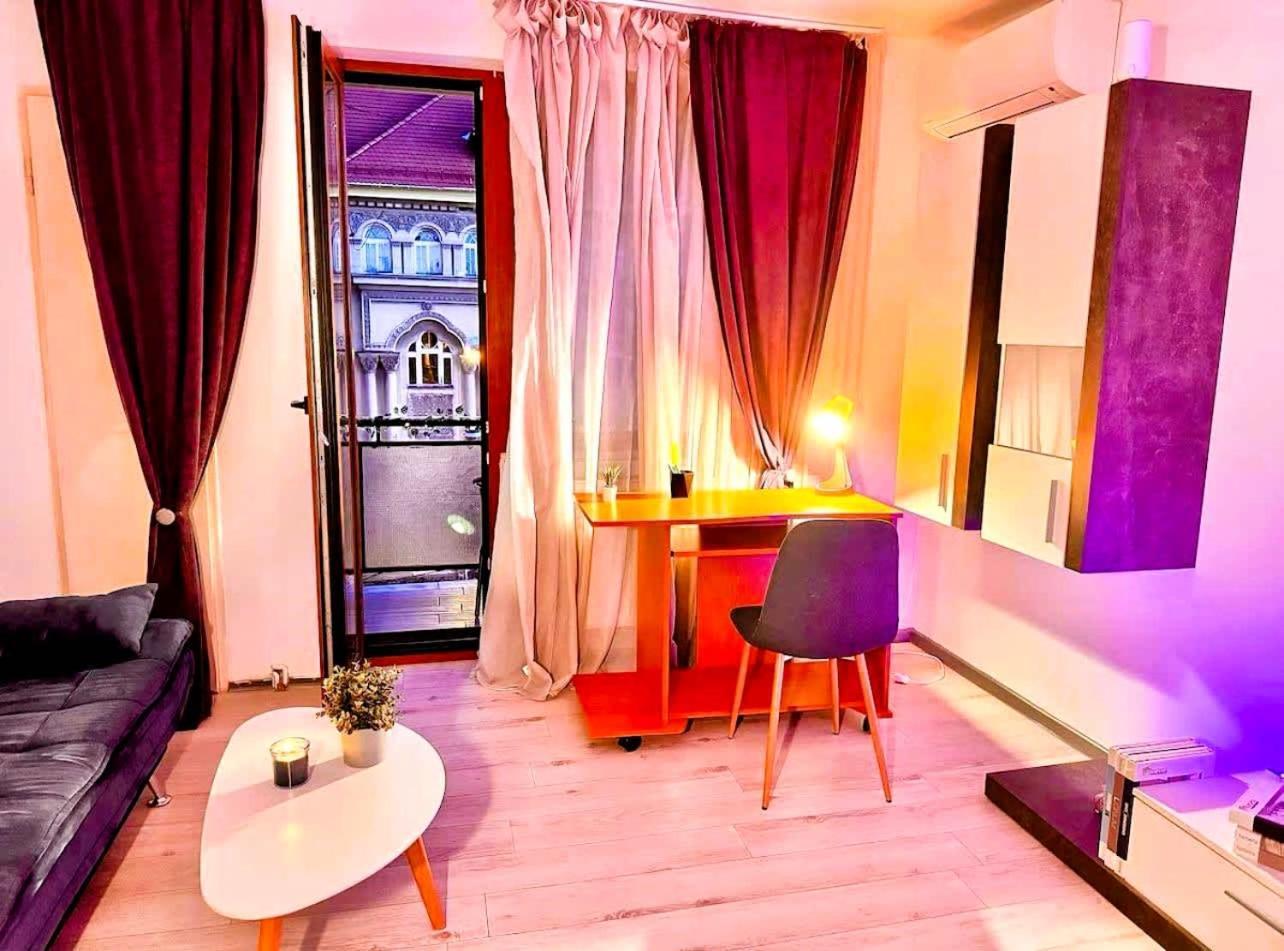 Apartment Joy Victor Babes 14 Timişoara